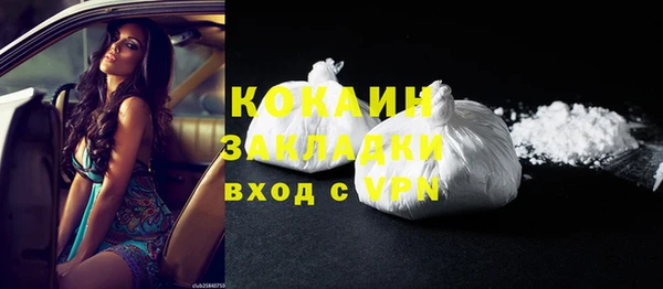 крисы Козловка